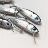 OMOROL® Salty Snack 55S "ELITE SERIES" (# ANCHOVY) lipless & minnow